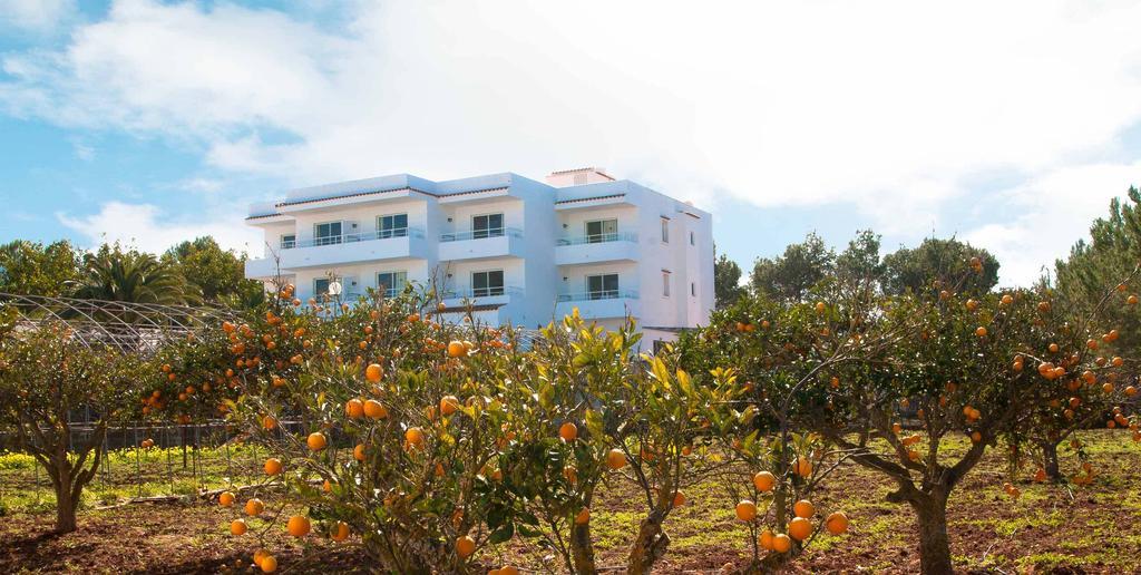 Sunset Oasis Ibiza Adults Only - New Rooms 2025 San Antonio  Exteriér fotografie