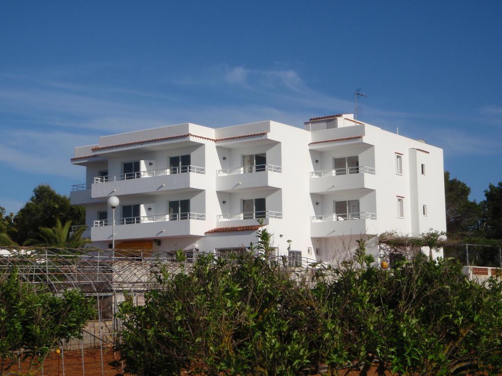 Sunset Oasis Ibiza Adults Only - New Rooms 2025 San Antonio  Exteriér fotografie
